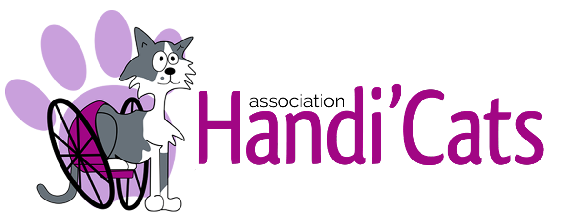 Logo Handi'Cats